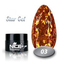 Гель краска Nice Star gel 5 мл, № 3